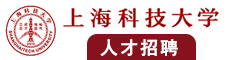 鸡巴插入骚逼里视频